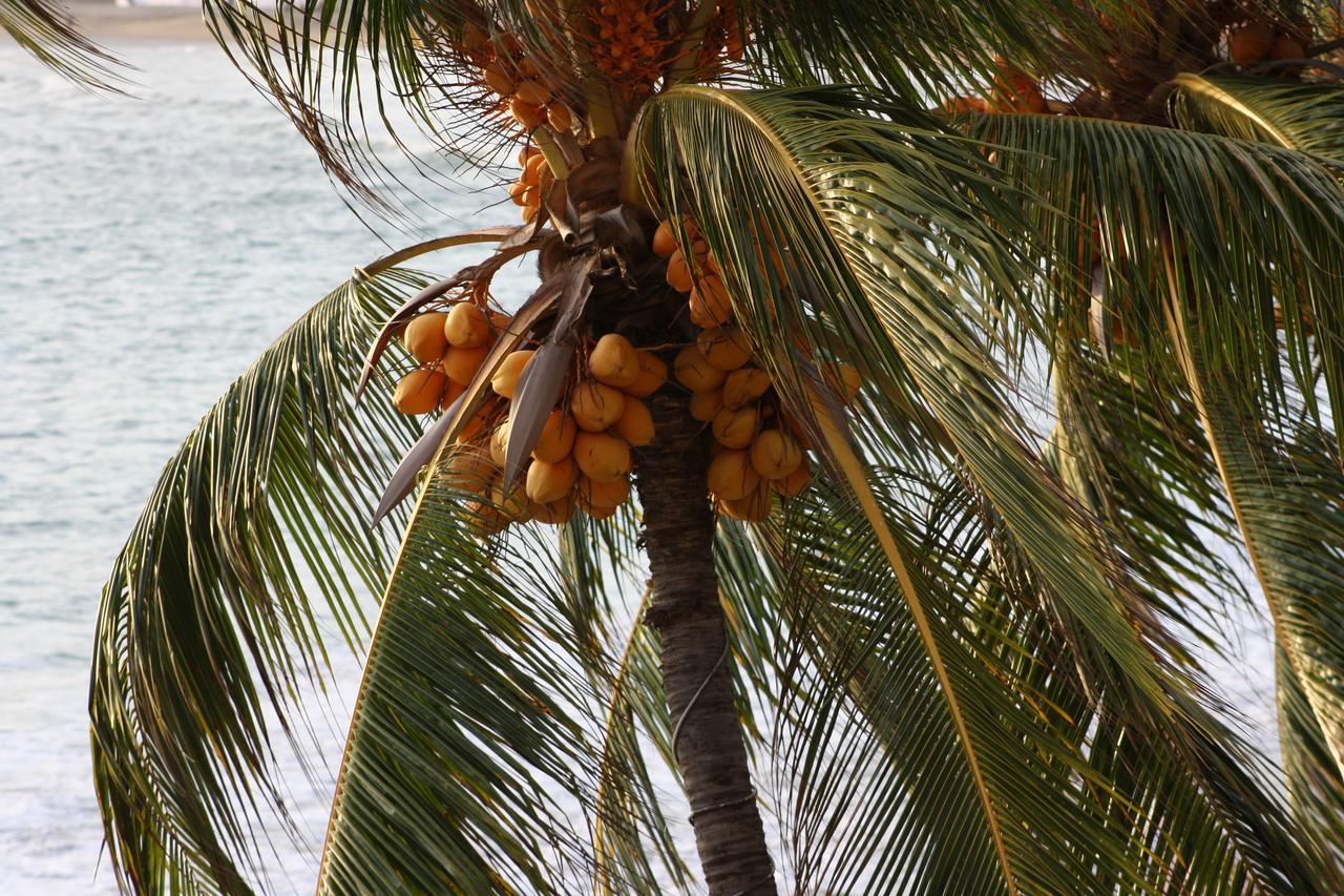 Hotel Playa De Santiago Manzanillo Zewnętrze zdjęcie